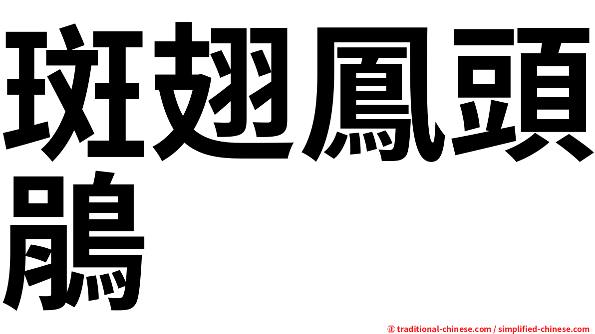 斑翅鳳頭鵑