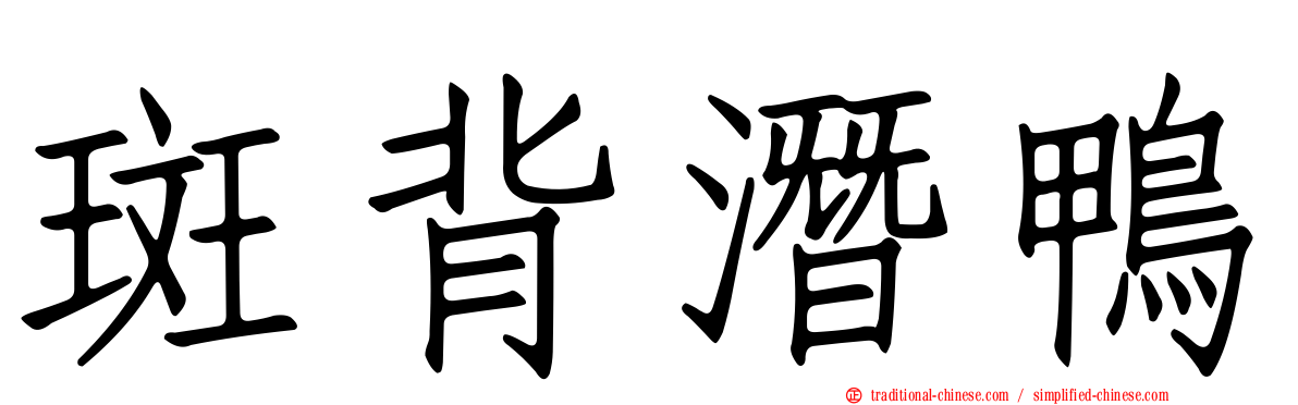斑背潛鴨