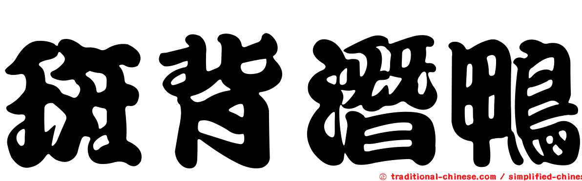 斑背潛鴨