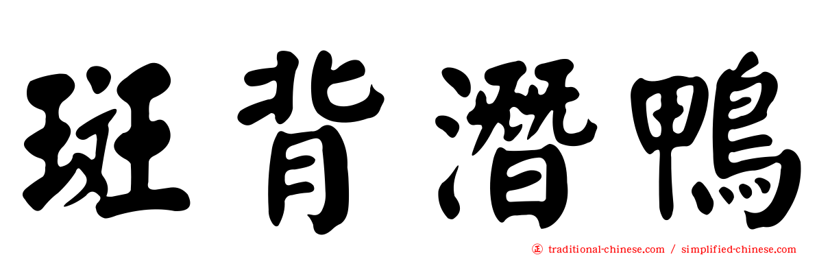 斑背潛鴨