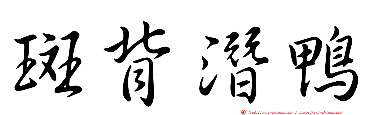 斑背潛鴨