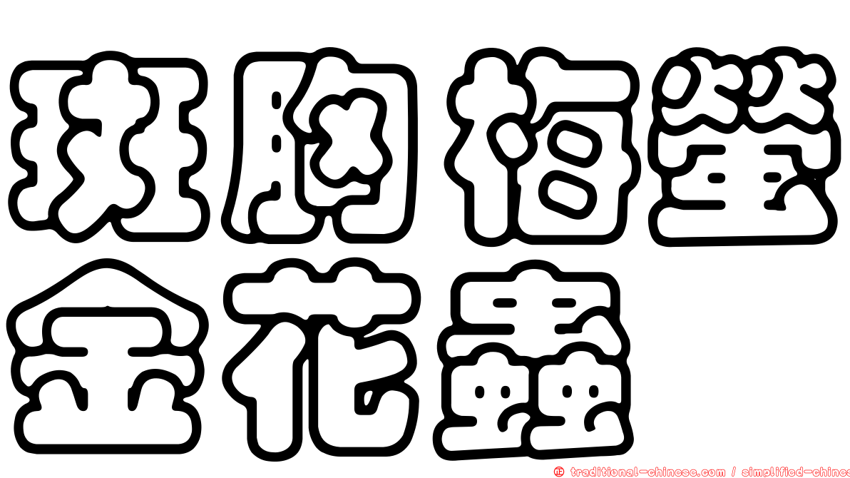 斑胸梅螢金花蟲