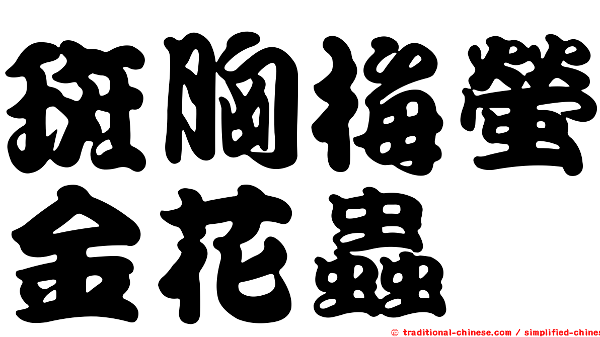 斑胸梅螢金花蟲