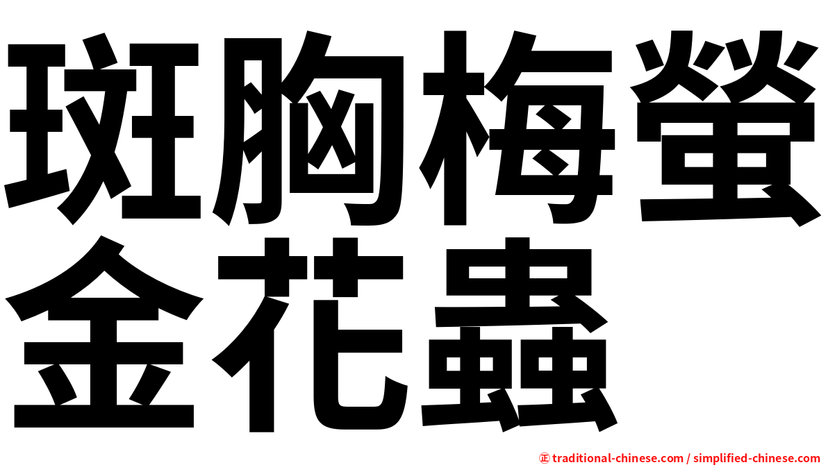 斑胸梅螢金花蟲