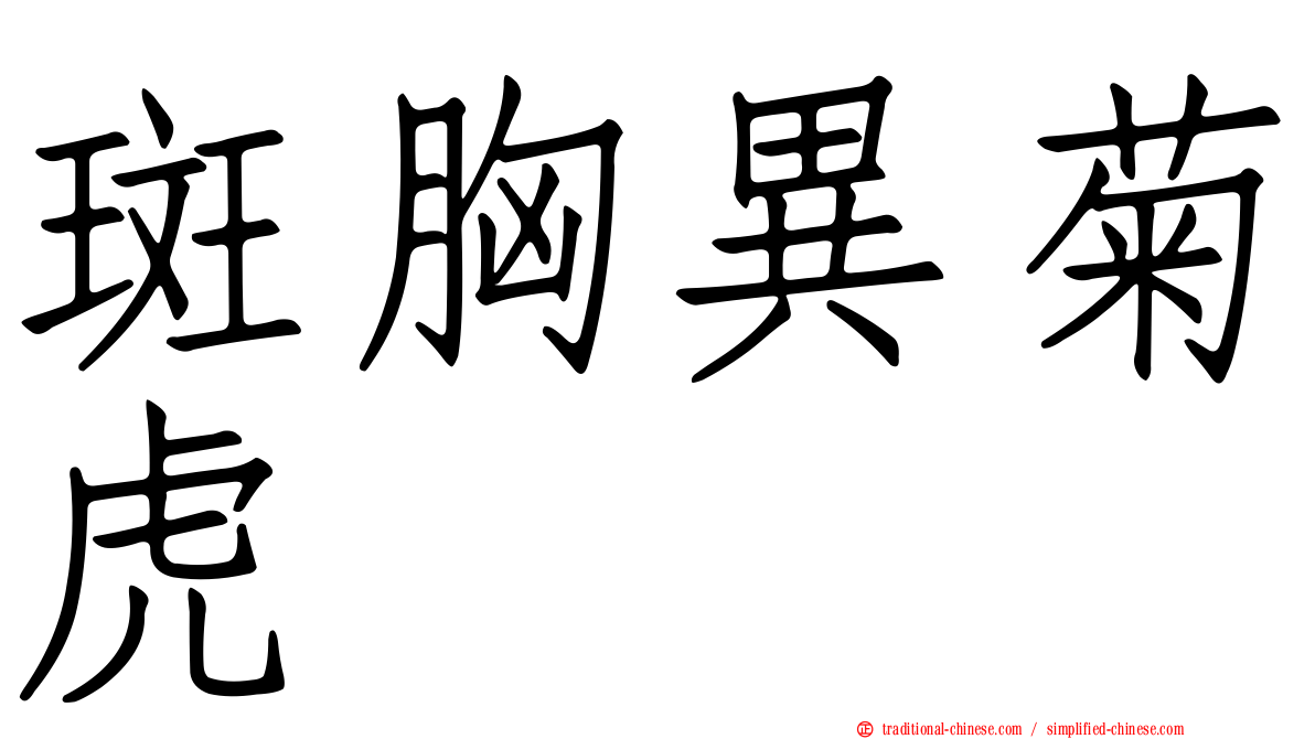斑胸異菊虎