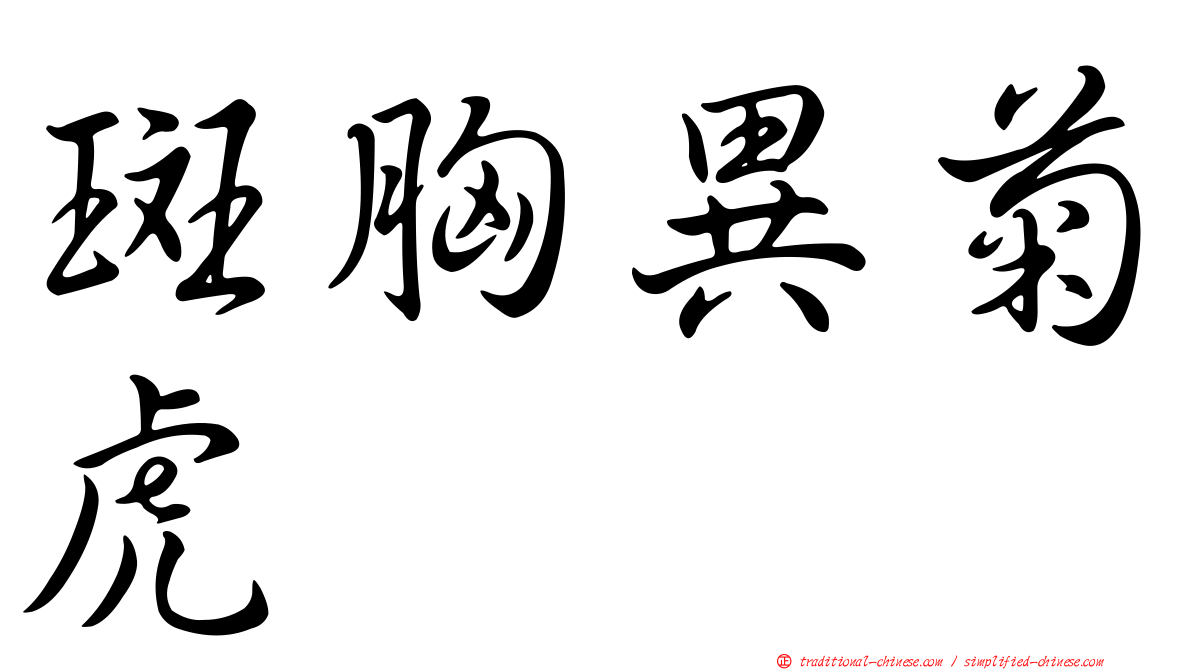 斑胸異菊虎