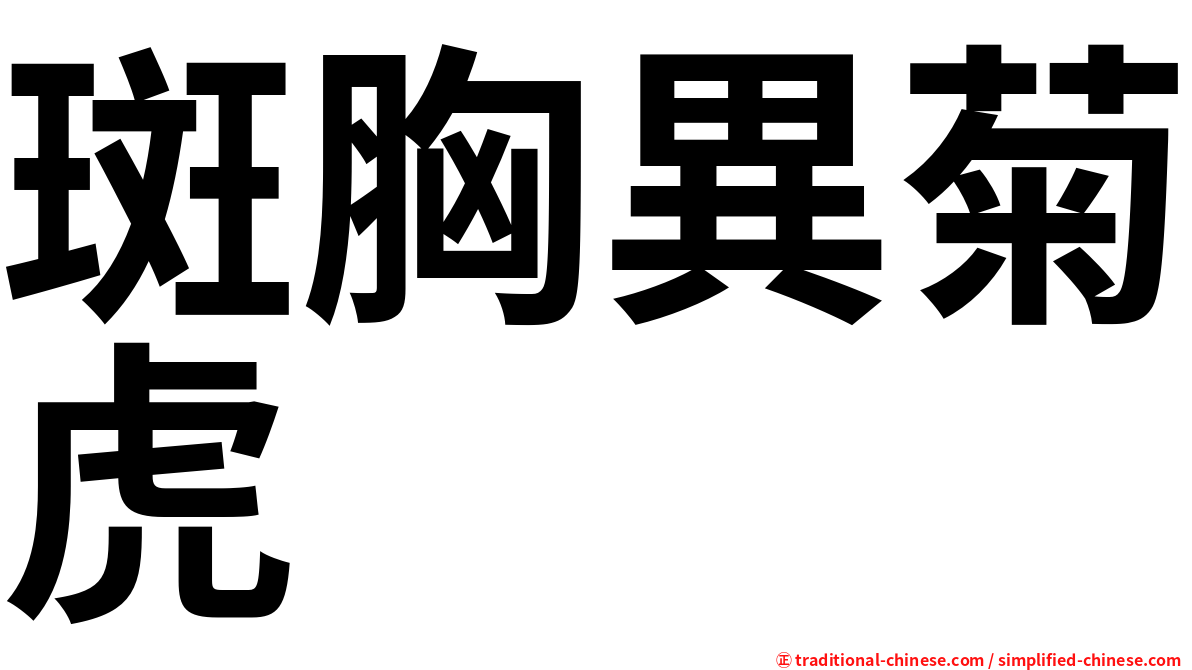 斑胸異菊虎