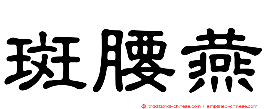斑腰燕