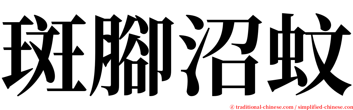 斑腳沼蚊 serif font