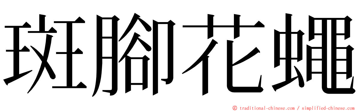 斑腳花蠅 ming font