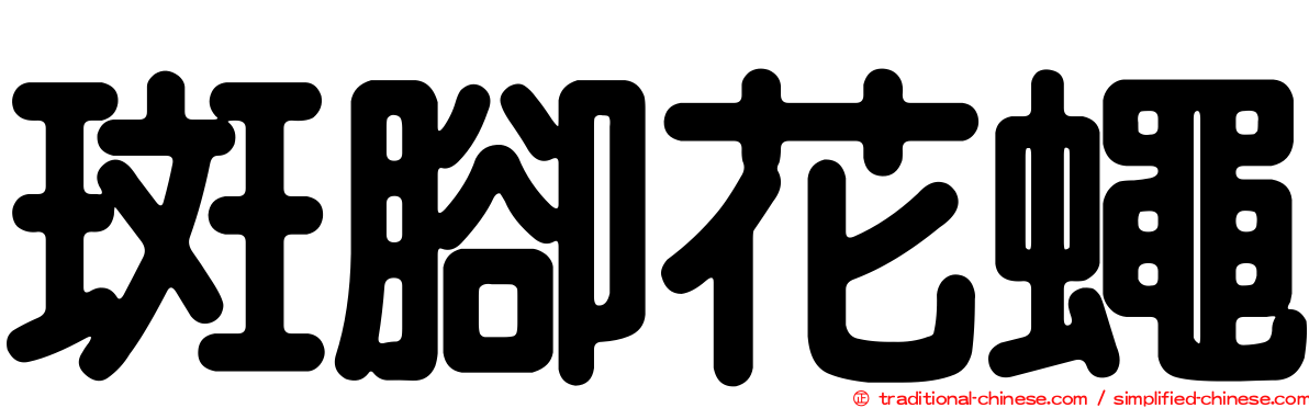 斑腳花蠅