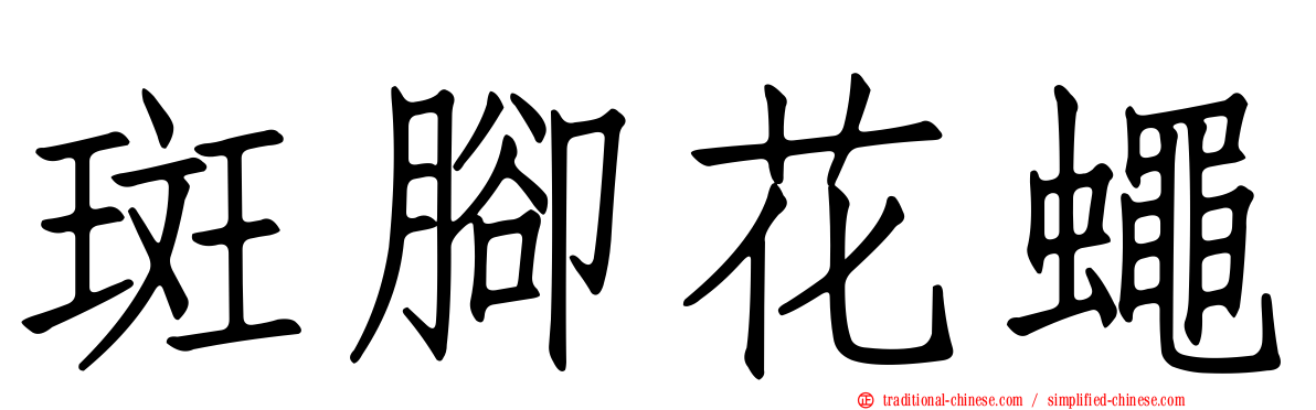 斑腳花蠅