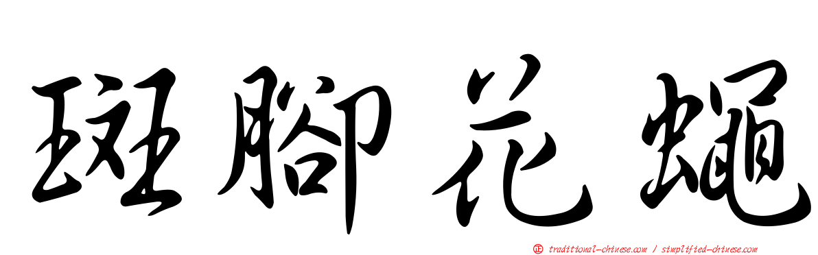 斑腳花蠅