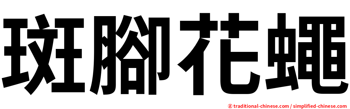 斑腳花蠅