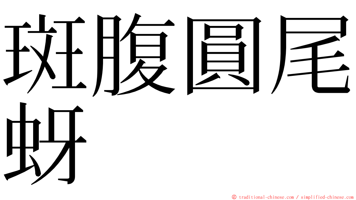 斑腹圓尾蚜 ming font