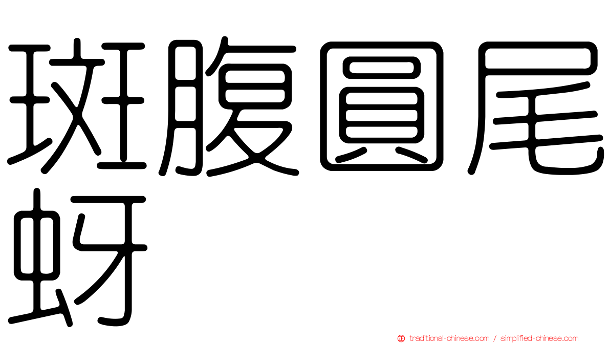 斑腹圓尾蚜