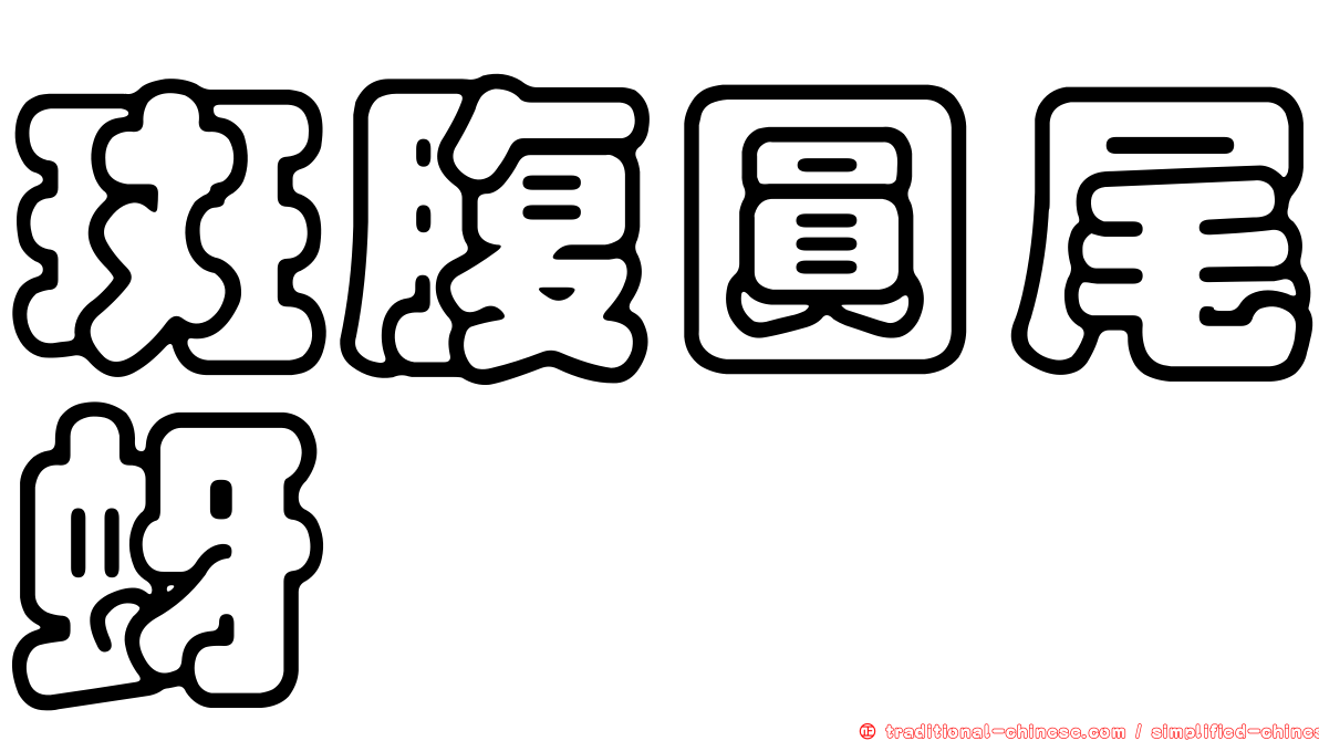 斑腹圓尾蚜