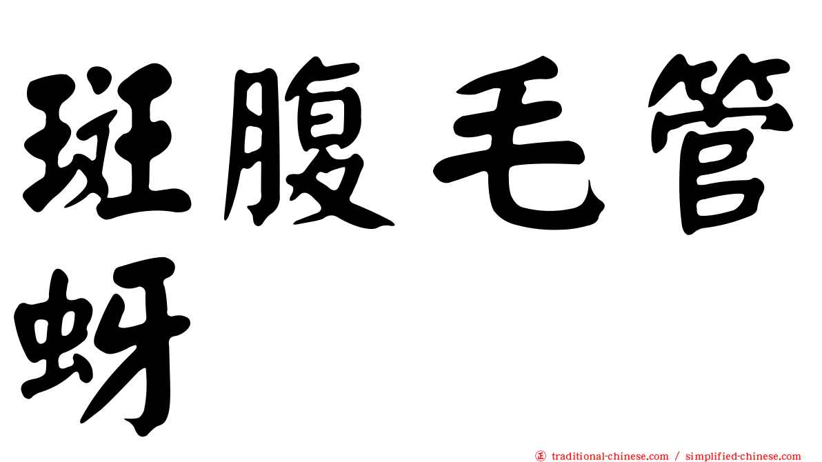 斑腹毛管蚜