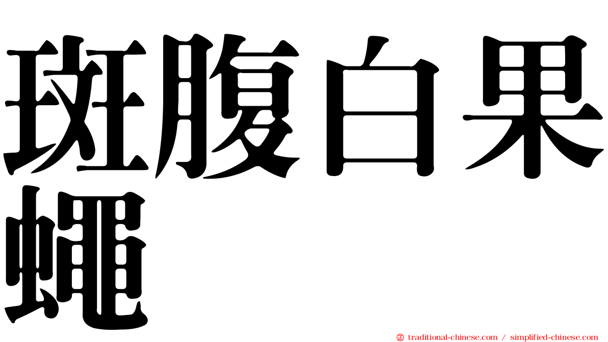 斑腹白果蠅