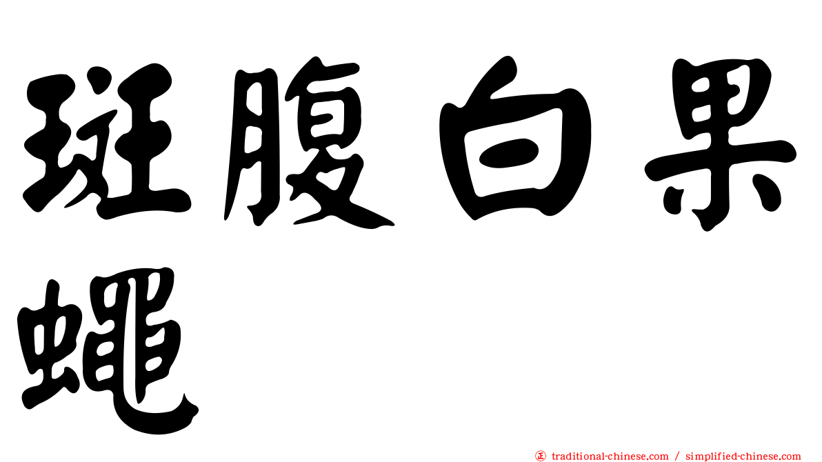斑腹白果蠅