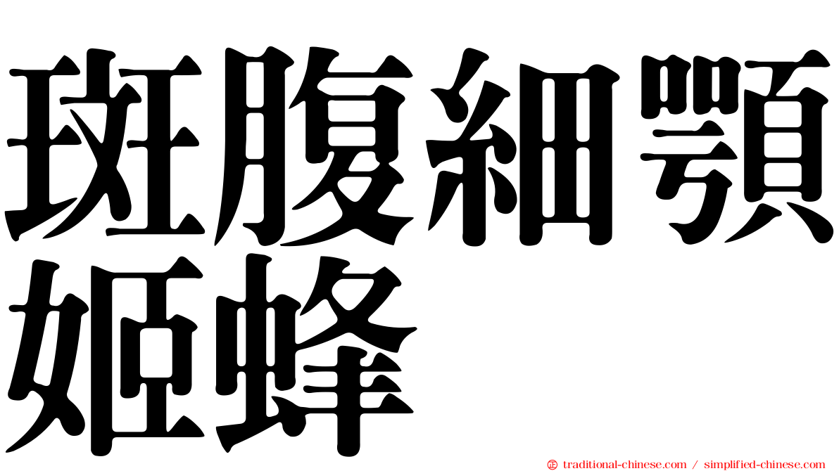 斑腹細顎姬蜂