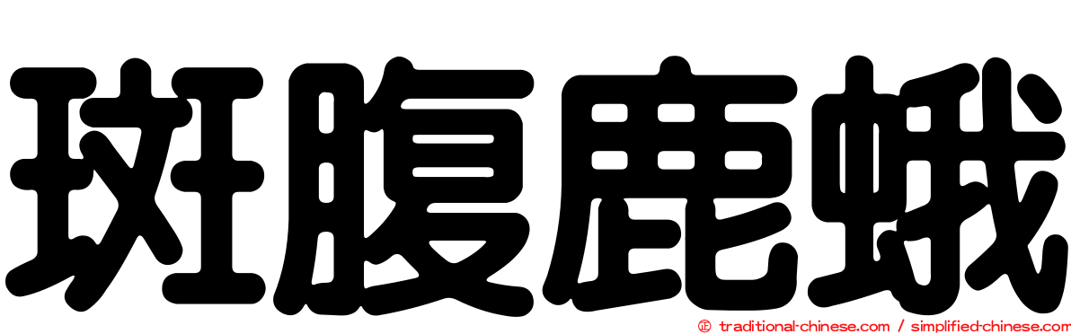 斑腹鹿蛾