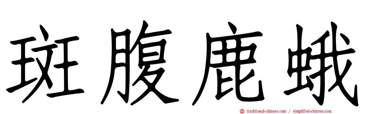 斑腹鹿蛾