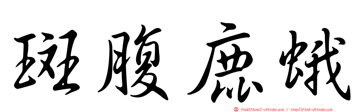 斑腹鹿蛾