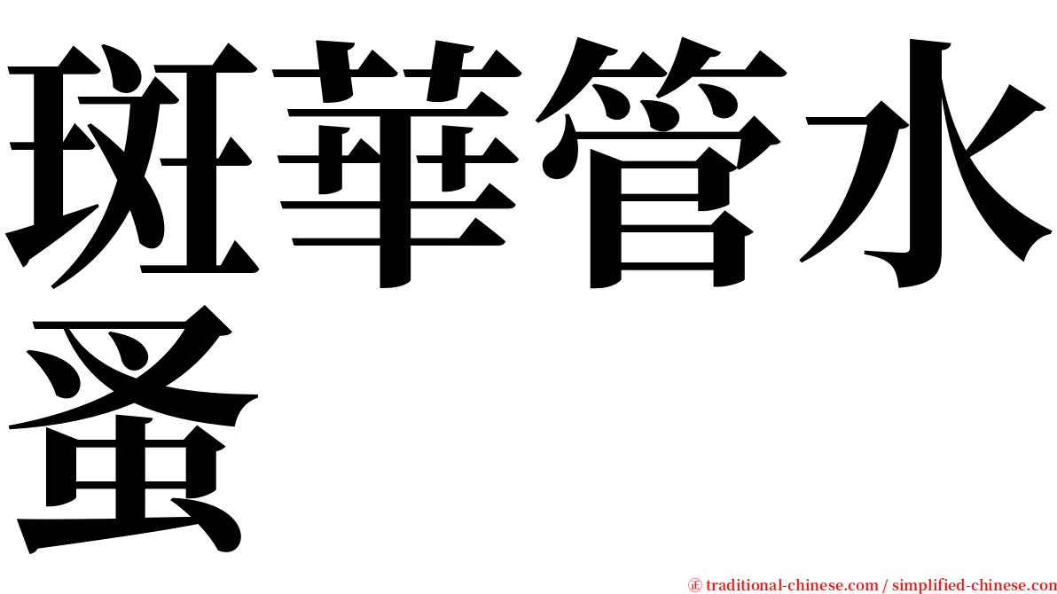 斑華管水蚤 serif font