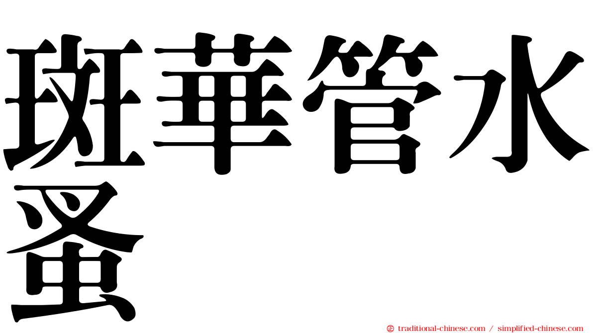 斑華管水蚤