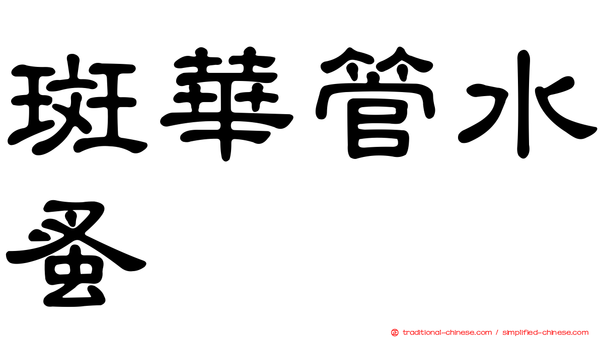 斑華管水蚤