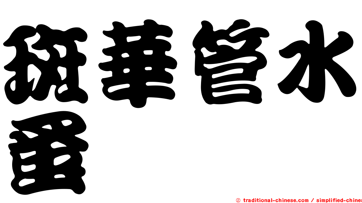 斑華管水蚤