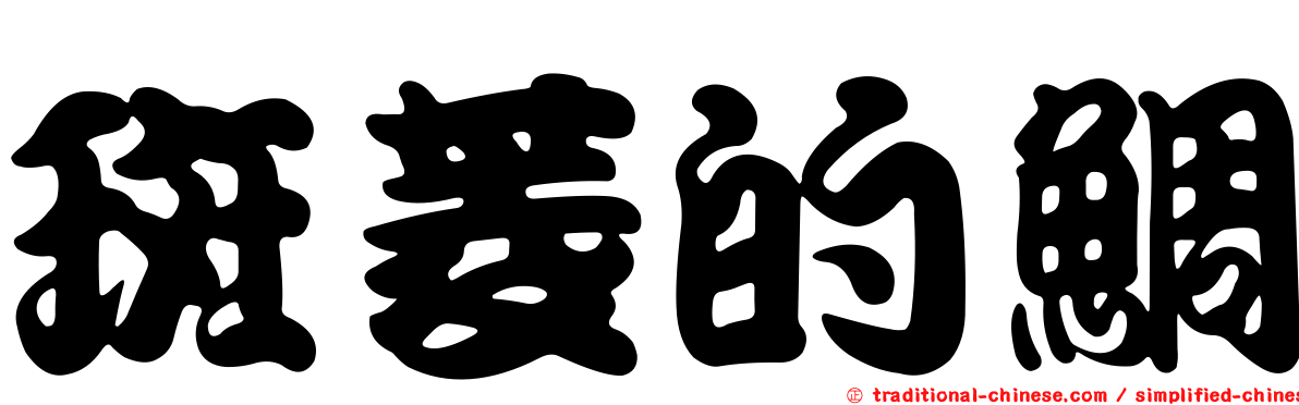 斑菱的鯛