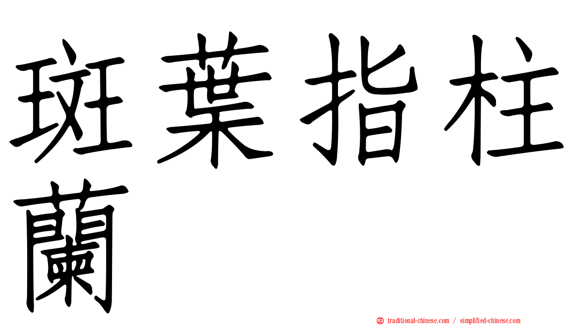 斑葉指柱蘭