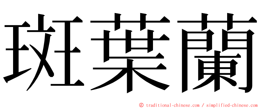 斑葉蘭 ming font