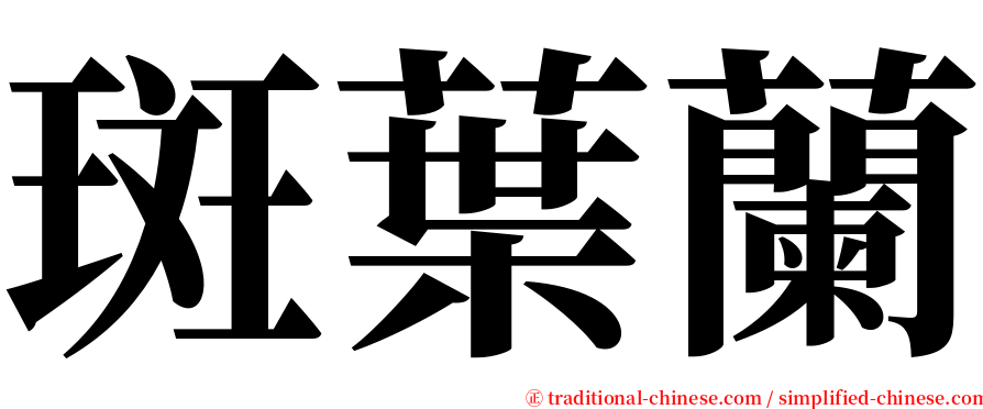 斑葉蘭 serif font