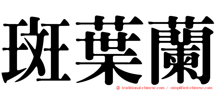 斑葉蘭