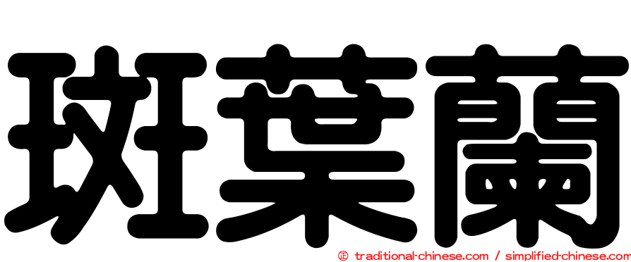 斑葉蘭