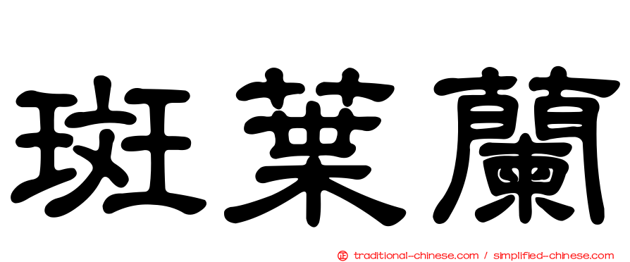 斑葉蘭