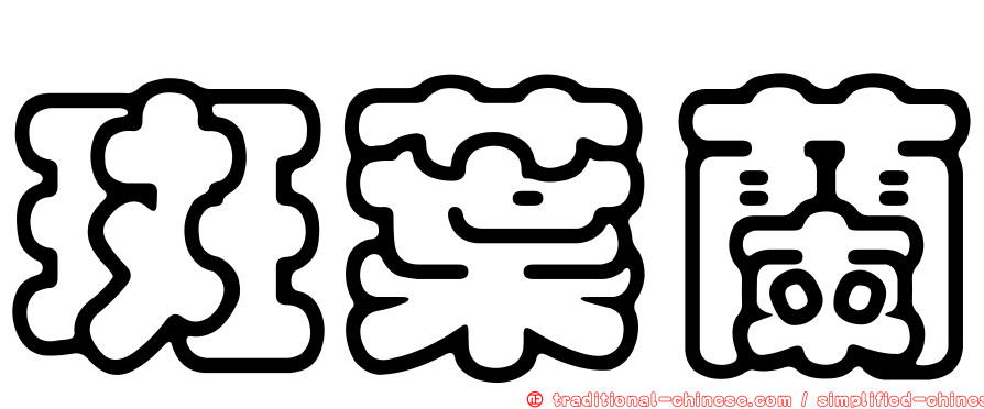 斑葉蘭