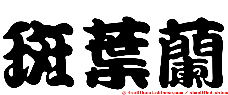 斑葉蘭