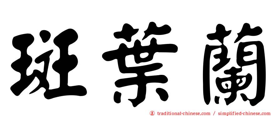 斑葉蘭