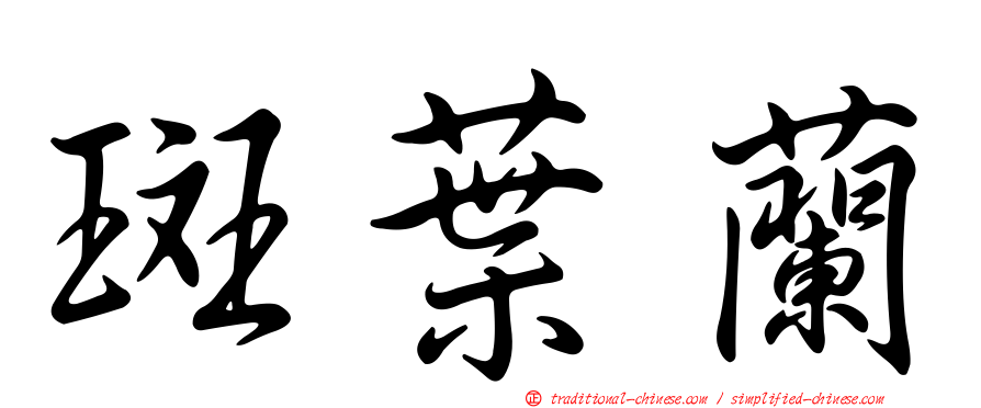 斑葉蘭