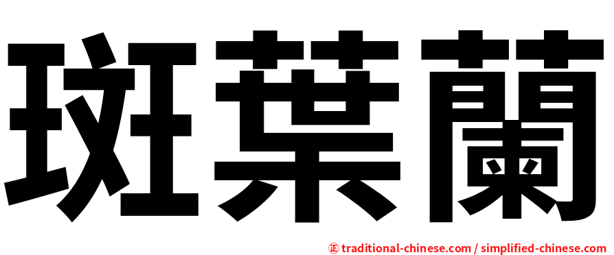 斑葉蘭