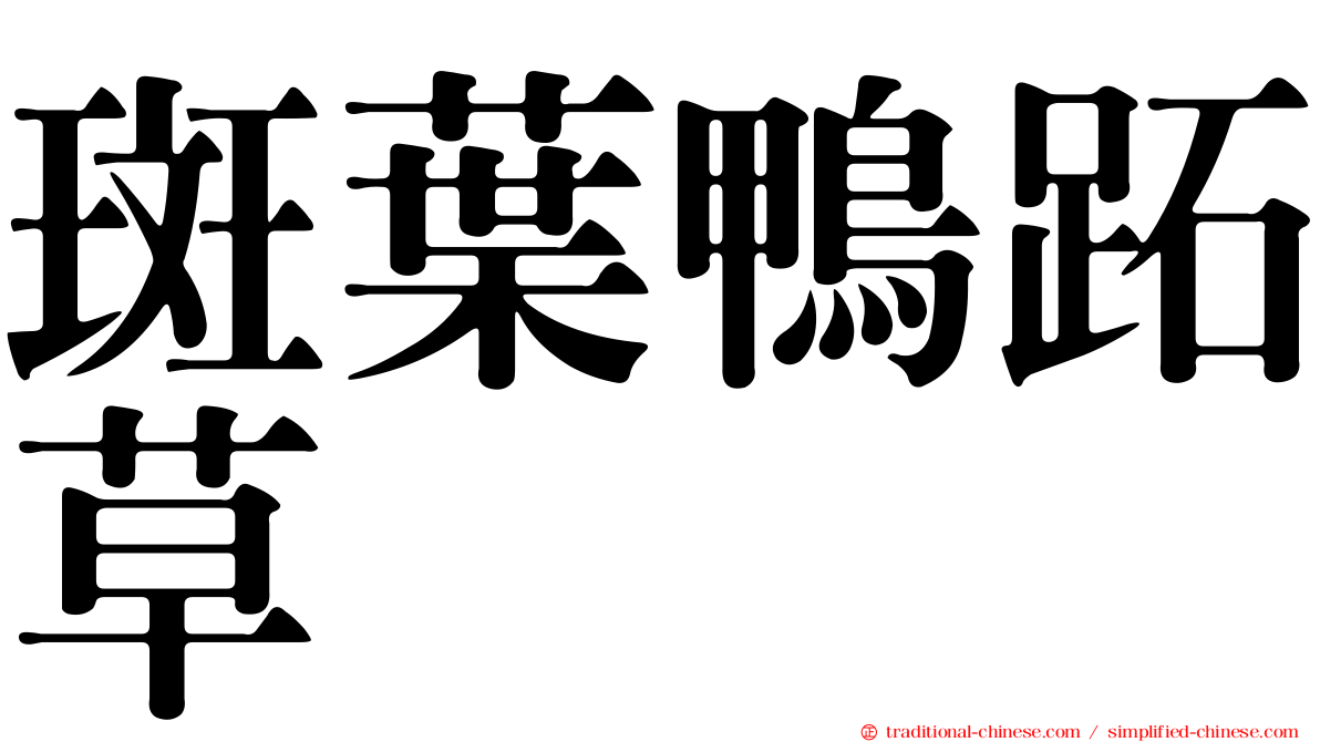 斑葉鴨跖草