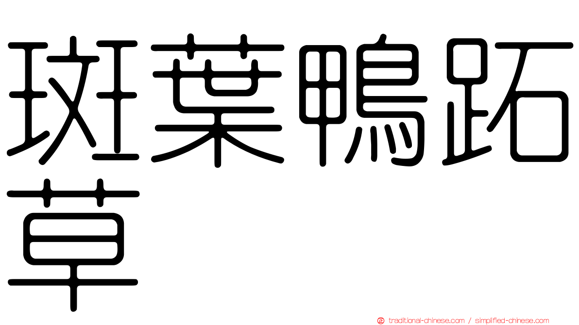 斑葉鴨跖草