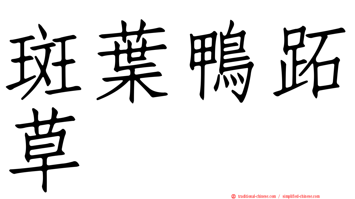 斑葉鴨跖草