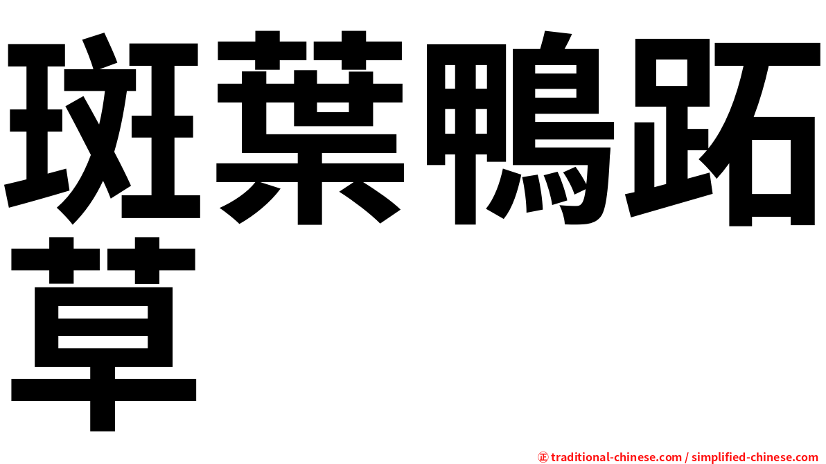 斑葉鴨跖草