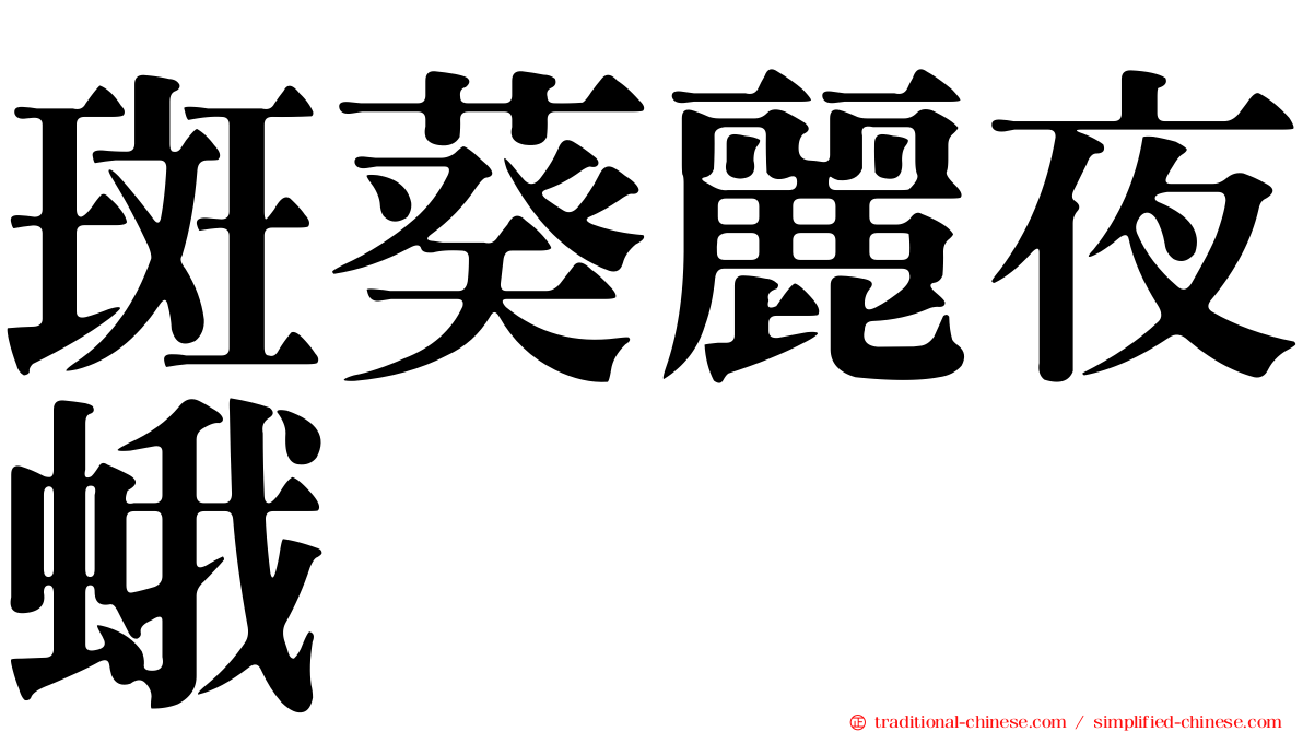 斑葵麗夜蛾