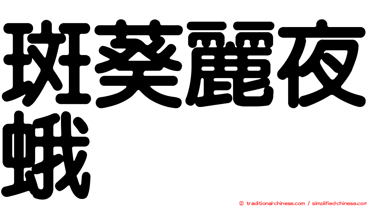 斑葵麗夜蛾